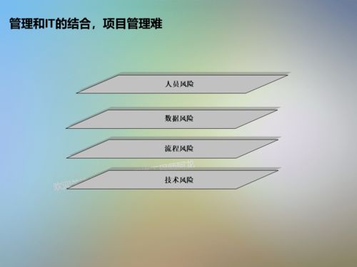 IT信息系統項目咨詢方法論 軟件工程視角下的關鍵路徑與實踐指南